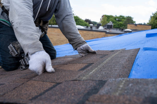 Best Roof Gutter Cleaning  in Melville, RI